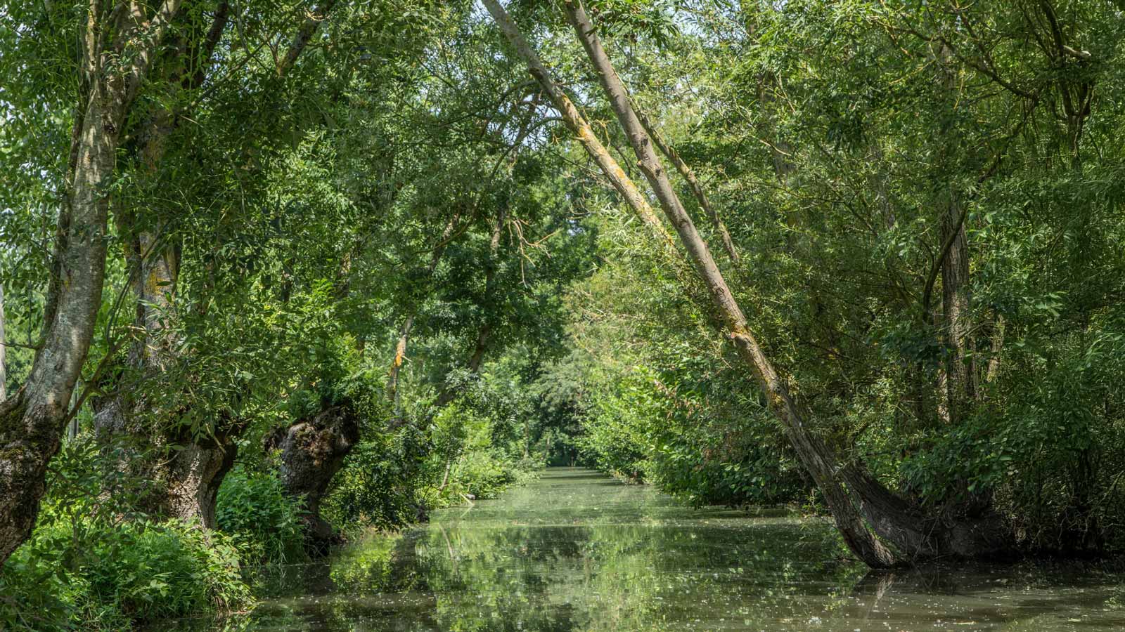 camping-vendee-bord-de-mer-marais-poitevin-poi-th